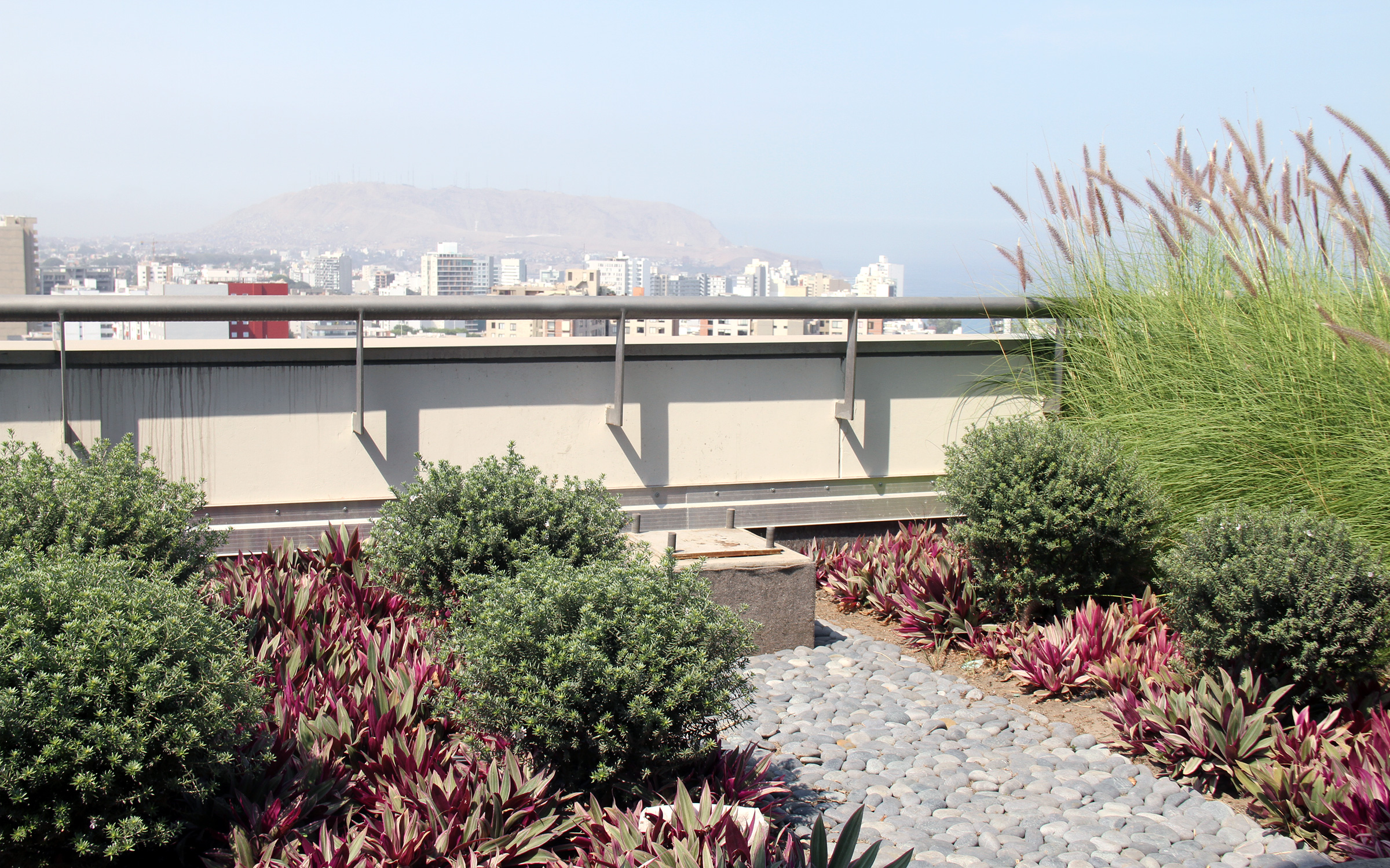 Providing green areas in Lima is essential to achieve a natural environment within the city. Roof garden with shrubs, ornamental grasses and small bushes in the city